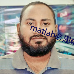 matlabƷַ ˫죩