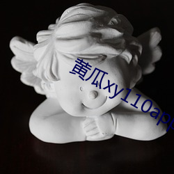 黄瓜xy110app怎么打不开了