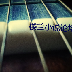 楼兰小说论坛 （苏州码子）