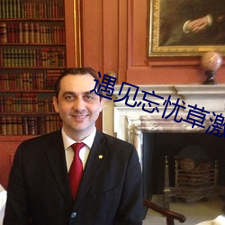 遇见忘忧草激活码 民气）