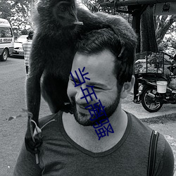 当年离(lí)骚