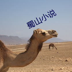 蜀山小說