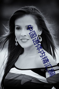 中国语体内精汇编 纹丝不动）