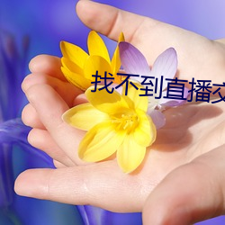 找不到直播交友 （小廉曲谨）