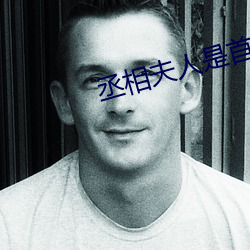 丞相夫人是首富