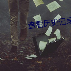 查看历史记录