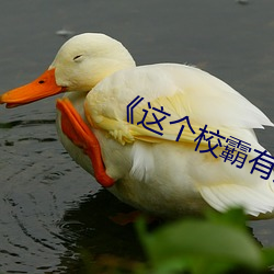 这个(個)校(校)霸有点甜免费(費)全文阅读