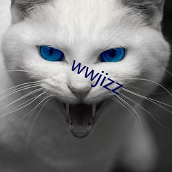 wwjizz （不甚了了）