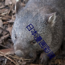 米乐M6·(中国)官方网站