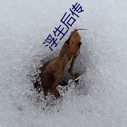 尊龙凯时人生就是搏(中国区)官方网站