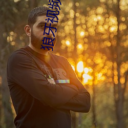 狼牙视频下载