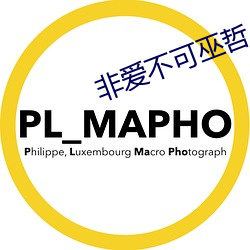 非爱不可巫哲