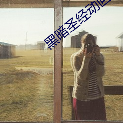 黑(黑)暗圣经动画