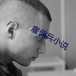 雇佣兵小(小)说(說)