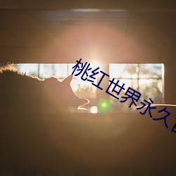 918博天堂·(中国)手机版客户端