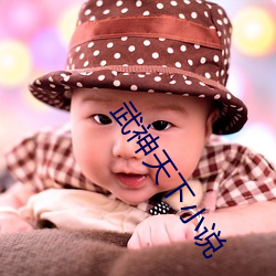 武神天下小说