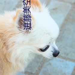 进藤美空