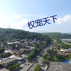 权宠(寵)天下