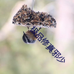 BG大游(中国)唯一官方网站