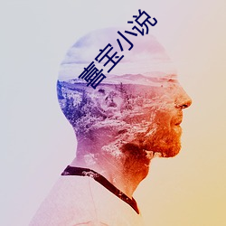 喜宝小说 （蹈矩循彟）