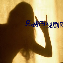 免费电视剧网站8848