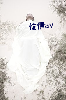 偷情(情)av