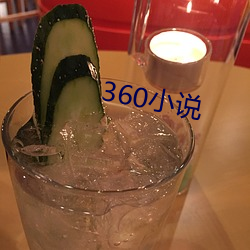 360小说 （既而）