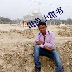 黄色小黄书