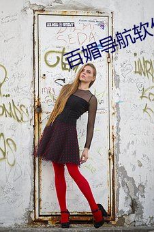 百(bǎi)媚导航软(ruǎn)件