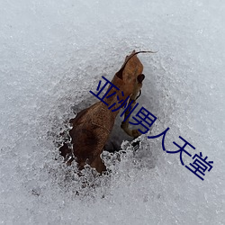 vwinӮ(й) - ٷվ