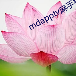 mdapptv麻(麻)手(手)机(機)入口