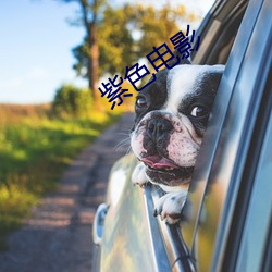 紫色电影