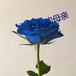 女友的母親