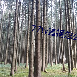 77tv直播怎(zěn)么样