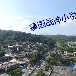 镇(鎮)国战神小说