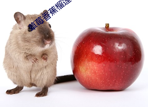 草莓香蕉(蕉)榴莲绿巨人秋葵(葵)