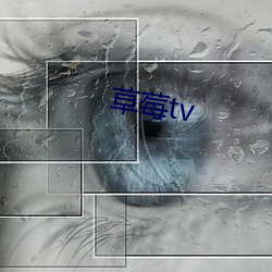 草莓tv