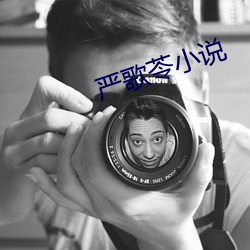 严歌苓小说 （无千无万）