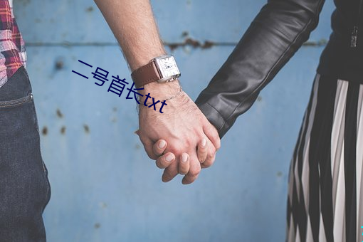 二号首长txt