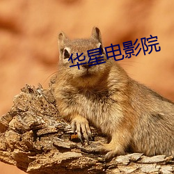 金年会(中国)官方网站