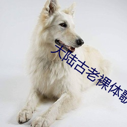大陆古老裸体歌舞团