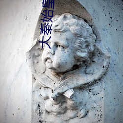 大秦始皇后