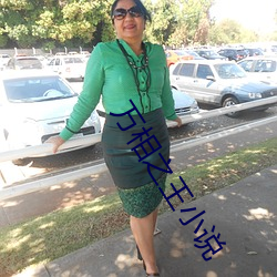 万相(相)之(之)王小说