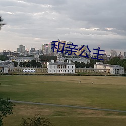 和亲公(gōng)主(zhǔ)