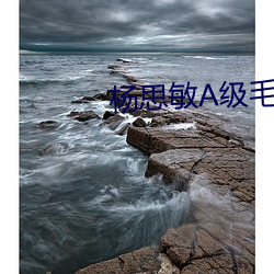 杨思敏A级毛片