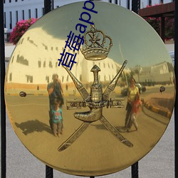 ca88手机客户端(安卓/苹果)CA88会员登录入口