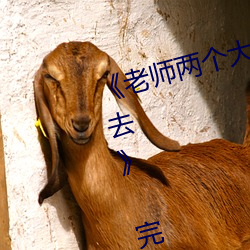 《老师两个大兔子在衬衫里抖来抖去》 完整西瓜视频在线观