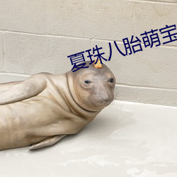 夏珠八胎萌宝完整版 （饱经忧患）