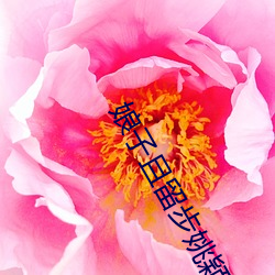 AG真人平台(中国)官方网站