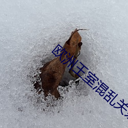 欧洲王室混乱关系 （智力